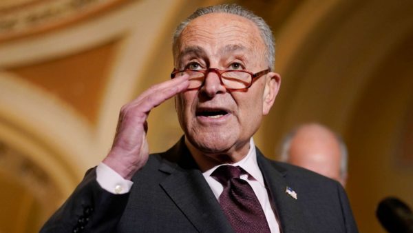 2022 midterms schumer
