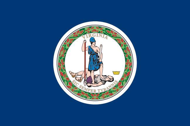 VA2 flag cover