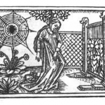 Arachne