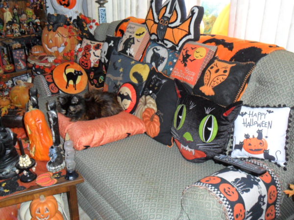 Black cat on Halloween pillows