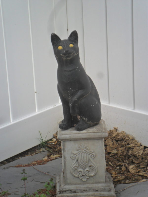 beltane cat shrine