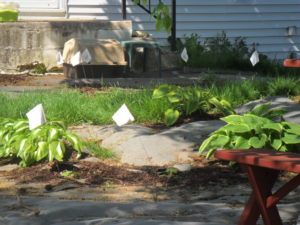 beltane flags