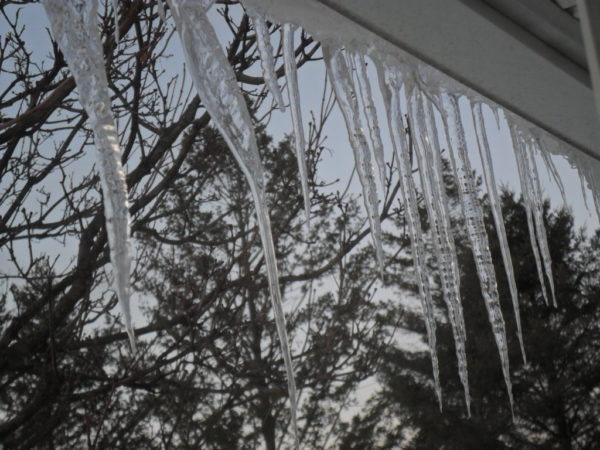 icicles5