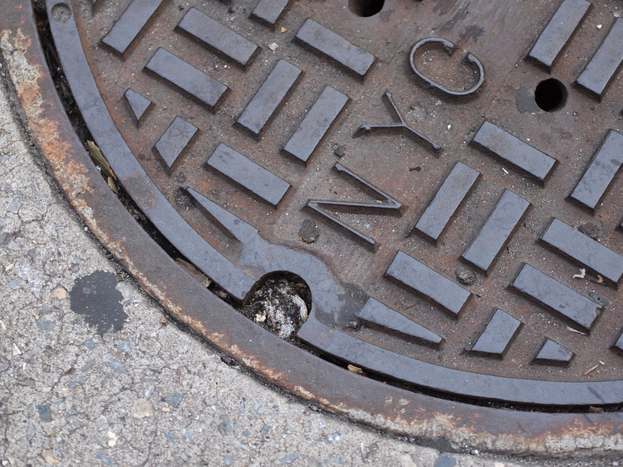 manhole mishap cover
