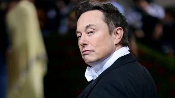 musk2 smirk