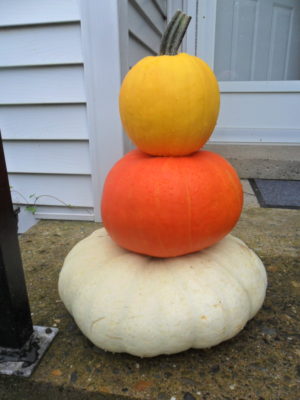 pumpkin stack