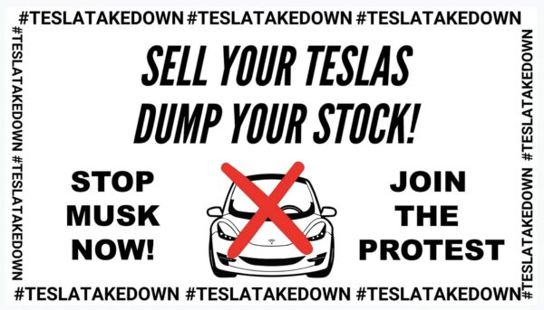tesla takedown