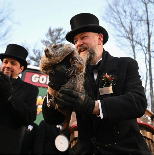 winter weather woes phil